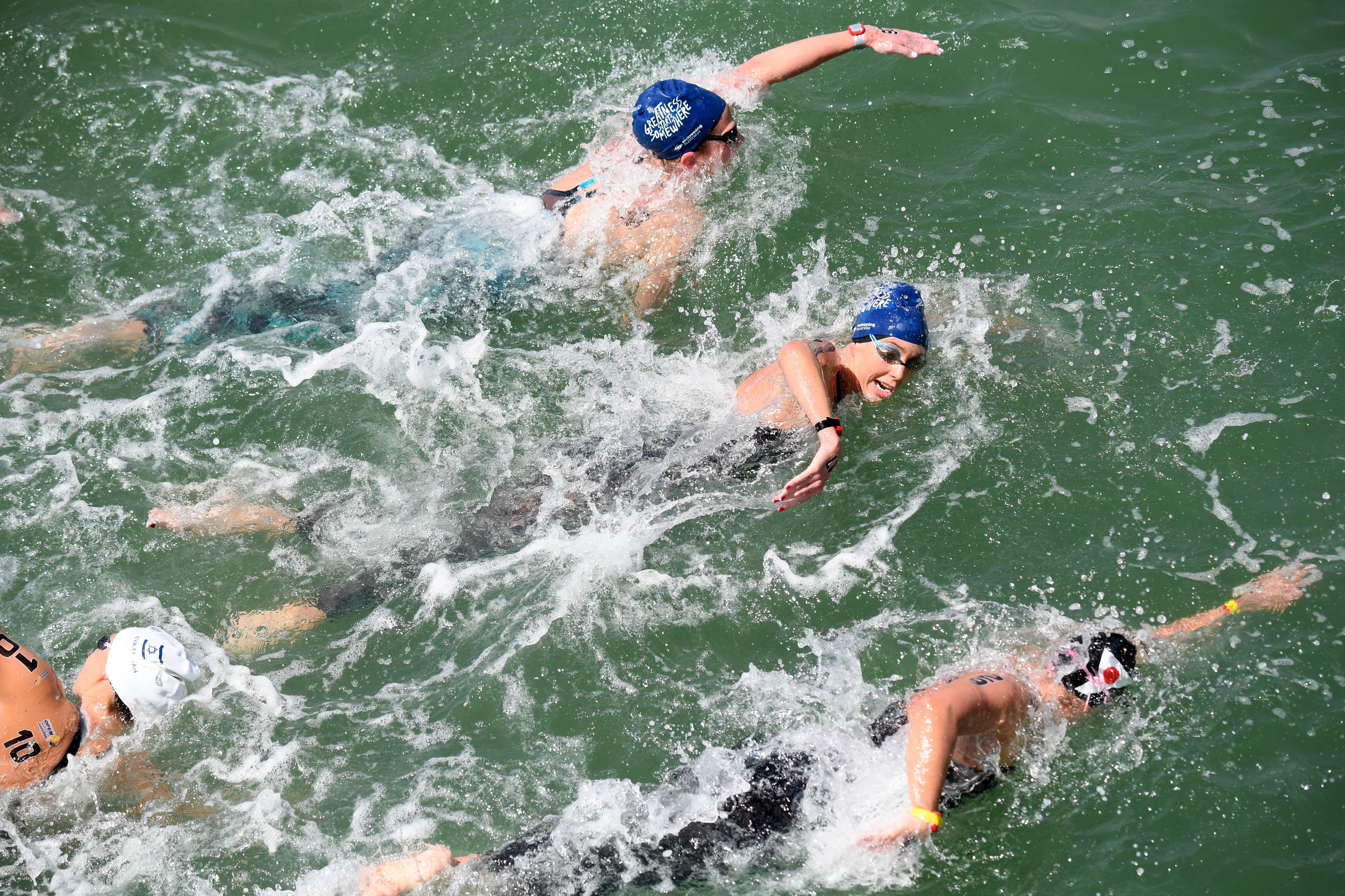 Pack of Open Water Swimmers